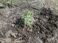 21.04.18_test 006.jpg