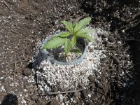 21.04.18_test 007.jpg