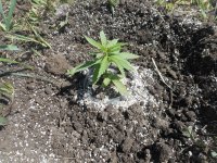 21.04.18_test 008.jpg