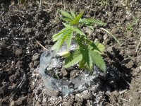 21.04.18_test 011.jpg
