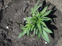 21.04.18_test 029.jpg