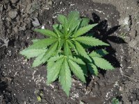 21.04.18_test 030.jpg