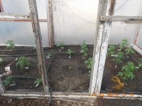 DSCN4323.JPG DSCN4323.JPG