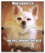 TaDDgGUVQIk.jpg