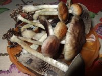 DSCF2486.JPG