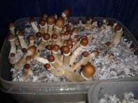 20180426_113635.jpg