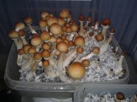 20180427_183041.jpg