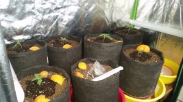 20180428_105026.jpg 20180428_105026.jpg