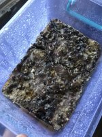 2018-04-29 15.38.52.jpg