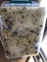 2018-04-29 15.38.45.jpg