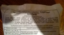 WP_20180429_001.jpg