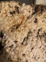 2018-04-29 23.31.15.jpg