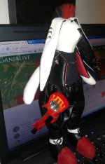 20180430_124920.jpg