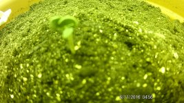 FHD0190.JPG