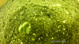 FHD0189.JPG