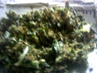 vlcsnap-00003 копия (2).jpg