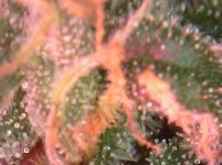 20180505_164253.jpg