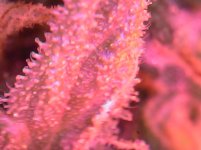 20180505_164301.jpg