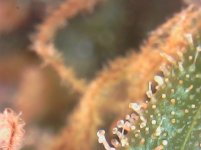 20180505_164114.jpg