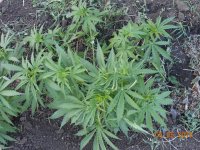 05.05.18 005.jpg 05.05.18 005.jpg