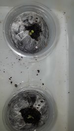 20180506_054700.jpg