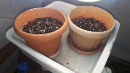 20180506_132719.jpg