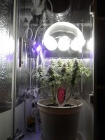 20180507_135749.jpg