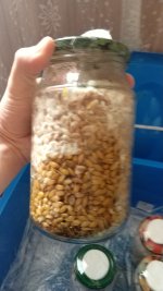 IMG_20180508_112928_1.jpg