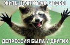 Без названия (3).jpg