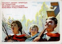 Зеленые насаждения.jpg