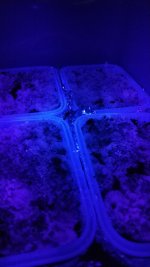 IMG_20180515_131029_1.jpg