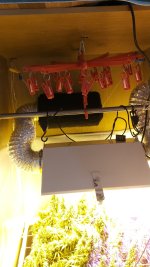 IMG_20180513_125058_1.jpg