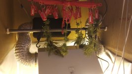 IMG_20180516_090312.jpg