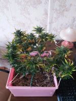 20180518_150639.jpg