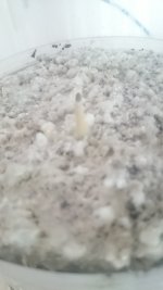 1526723251705-1396309391.jpg