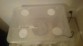 DSC_0858.JPG