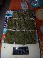 IMG_20180519_165128 (1).jpg