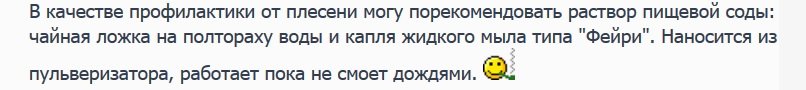 В качестве профилактики от плесени могу порекомендовать раствор пищевой соды.jpg