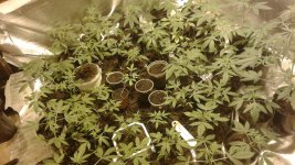 20180505_095540.jpg