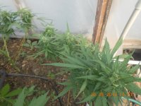 DSCN4770.JPG