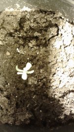 20180410_135823.jpg