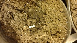 20180410_135922.jpg