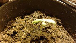 20180410_135852.jpg
