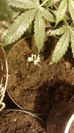 20180502_133526.jpg