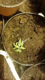 20180502_133534.jpg