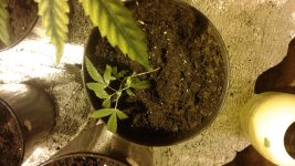 20180512_153744.jpg