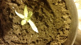 20180515_151450.jpg