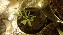 20180515_151441.jpg
