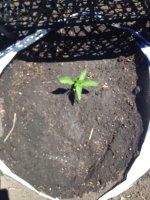 RBcuxkOzCMk.jpg