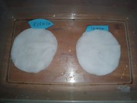 20180530_145619.jpg 20180530_145619.jpg